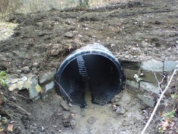 PIC 6
